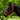 Eureka Essential Halter