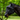 3D Fly Mask