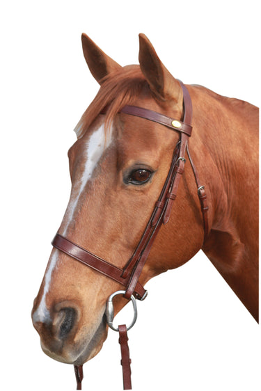 McAlister - Flat Cavesson Bridle