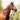 Cavalier Anatomical Leather Bridle - Black - Full