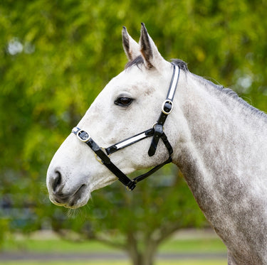EquestPRO PVC Overlay Halter
