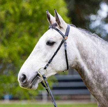 EP PVC Bridle