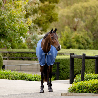 EP Blue Fleece Rug