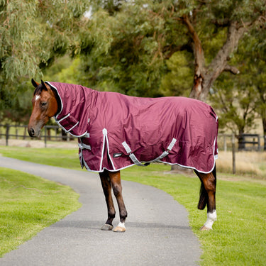 EquestPro Cherry 1200D Combo