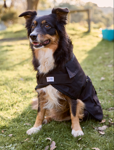 NULLARBOR OILSKIN FLEECE DOG COAT