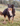 NULLARBOR OILSKIN COTTON LINED DOG COAT