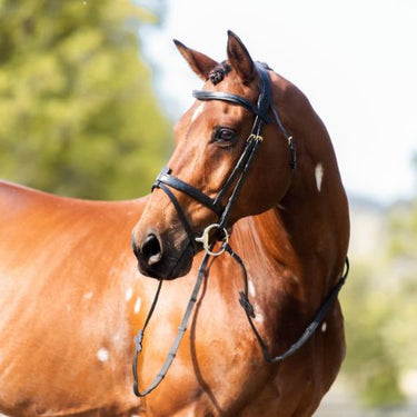 Cavalier Anatomical Leather Bridle - Black - Full