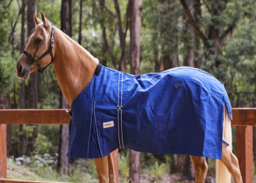 Eureka - Unlined Blue Canvas Rug