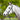 Eureka - Black PVC Noseband - Full